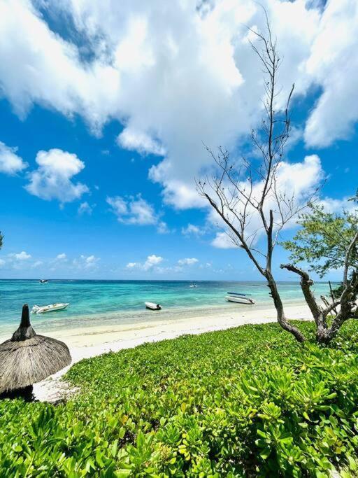 Summer Beachfront Belle Mare