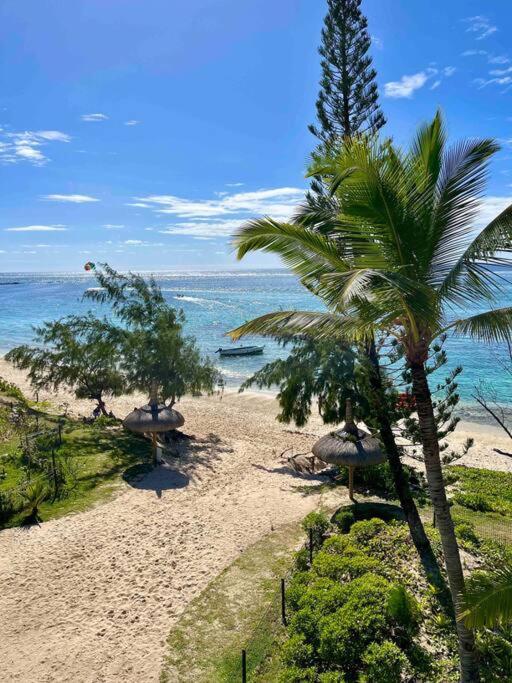 Apartment Summer Beachfront